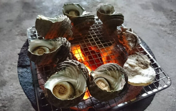 とれたてのサザエ