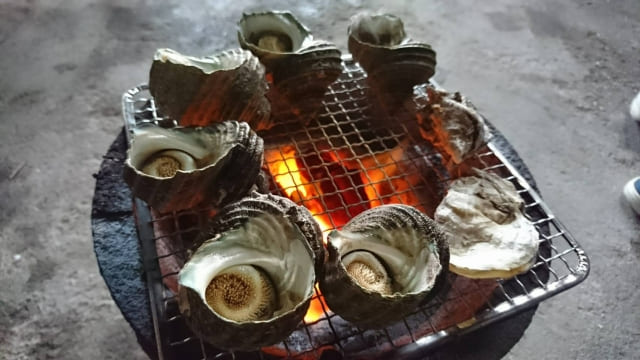 とれたてのサザエ